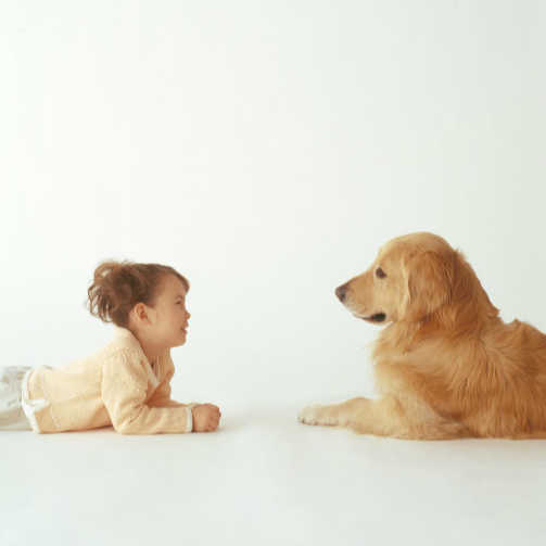 かわいい女の子と犬